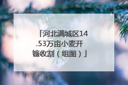 河北满城区14.53万亩小麦开镰收割（组图）