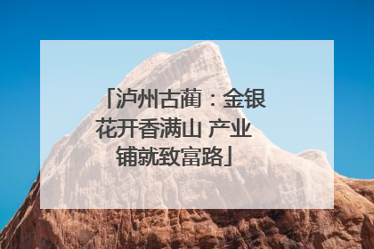 泸州古蔺：金银花开香满山 产业铺就致富路