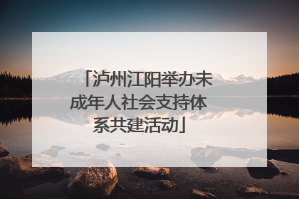 泸州江阳举办未成年人社会支持体系共建活动