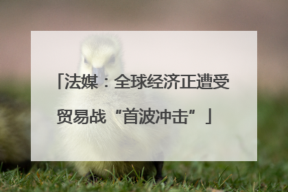 法媒：全球经济正遭受贸易战“首波冲击”