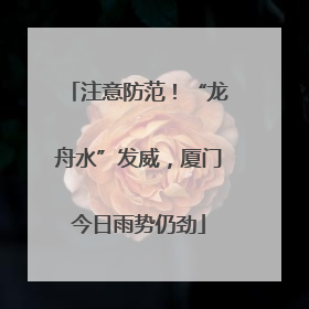 注意防范！“龙舟水”发威，厦门今日雨势仍劲