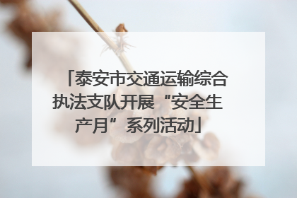 泰安市交通运输综合执法支队开展“安全生产月”系列活动