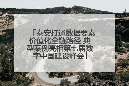 泰安打通数据要素价值化全链路径 典型案例亮相第七届数字中国建设峰会