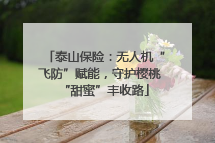 泰山保险：无人机“飞防”赋能，守护樱桃“甜蜜”丰收路