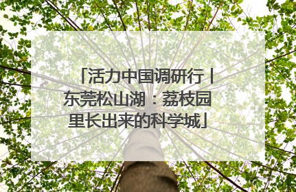 活力中国调研行丨东莞松山湖：荔枝园里长出来的科学城