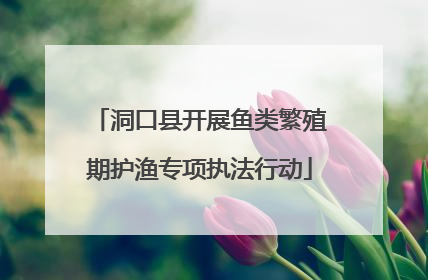 洞口县开展鱼类繁殖期护渔专项执法行动