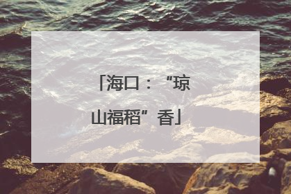 海口：“琼山福稻”香