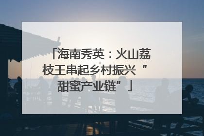 海南秀英：火山荔枝王串起乡村振兴“甜蜜产业链”