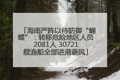 海南严阵以待防御“蝴蝶”：转移危险地区人员2081人 30721艘渔船全部进港避风