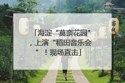 海淀“莫奈花园”，上演“稻田音乐会”！现场直击