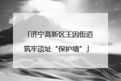济宁高新区王因街道筑牢遗址“保护墙”