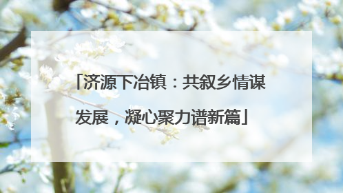 济源下冶镇：共叙乡情谋发展，凝心聚力谱新篇