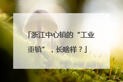 浙江中心镇的“工业重镇”，长啥样？