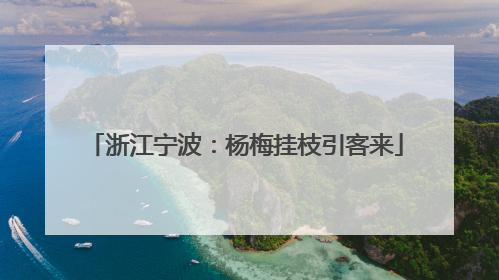 浙江宁波：杨梅挂枝引客来