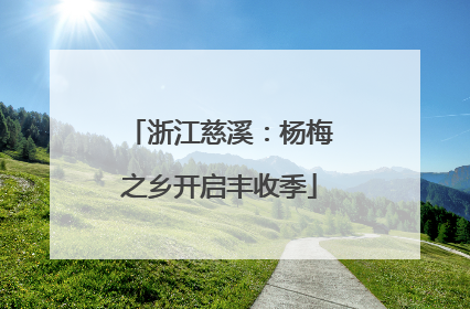 浙江慈溪：杨梅之乡开启丰收季