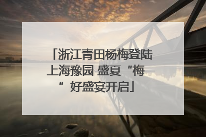 浙江青田杨梅登陆上海豫园 盛夏“梅”好盛宴开启