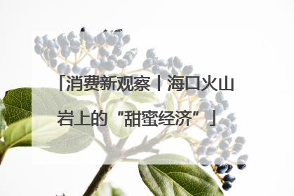 消费新观察丨海口火山岩上的“甜蜜经济”