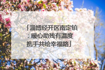 淄博经开区南定镇：暖心助残有温度 携手共绘幸福路