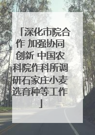 深化市院合作 加强协同创新 中国农科院作科所调研石家庄小麦选育种等工作