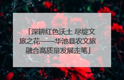 深耕红色沃土 尽绽文旅之花——华池县农文旅融合高质量发展走笔