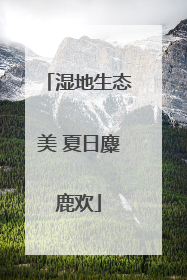 湿地生态美 夏日麋鹿欢