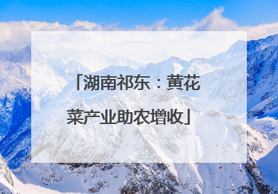 湖南祁东：黄花菜产业助农增收