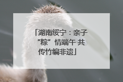 湖南绥宁：亲子“粽”情端午 共传竹编非遗