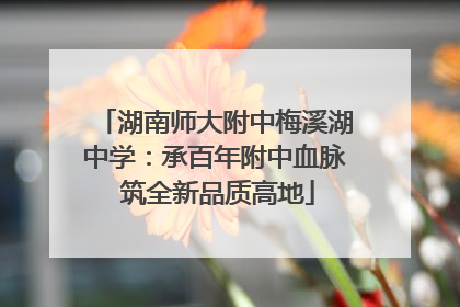 湖南师大附中梅溪湖中学：承百年附中血脉 筑全新品质高地