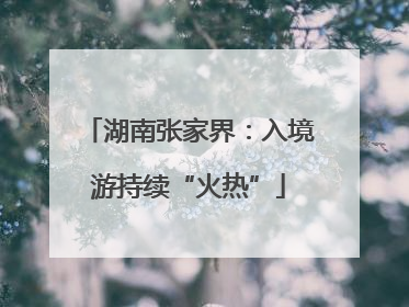 湖南张家界：入境游持续“火热”