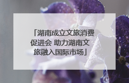 湖南成立文旅消费促进会 助力湖南文旅融入国际市场