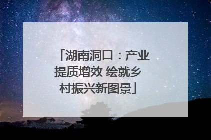 湖南洞口：产业提质增效 绘就乡村振兴新图景
