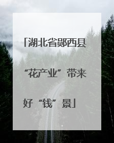 湖北省郧西县“花产业”带来好“钱”景