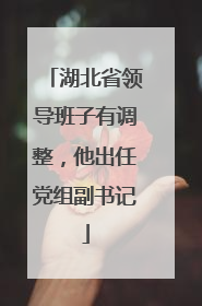 湖北省领导班子有调整，他出任党组副书记