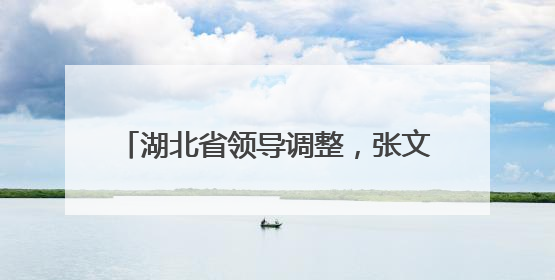 湖北省领导调整，张文兵、黎东辉同日履新