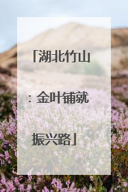 湖北竹山：金叶铺就振兴路