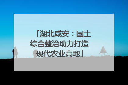 湖北咸安：国土综合整治助力打造现代农业高地