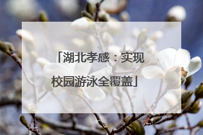 湖北孝感：实现校园游泳全覆盖