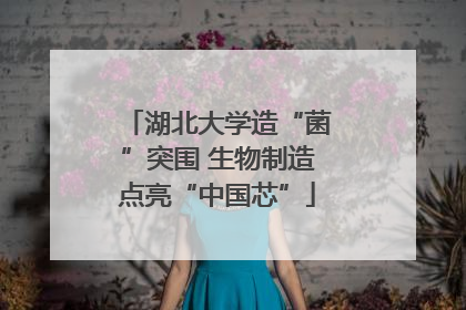 湖北大学造“菌”突围 生物制造点亮“中国芯”