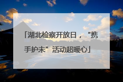 湖北检察开放日，“携手护未”活动超暖心