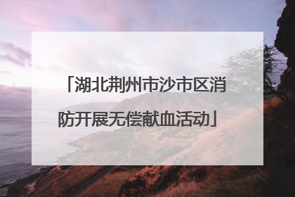 湖北荆州市沙市区消防开展无偿献血活动