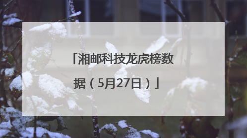 湘邮科技龙虎榜数据（5月27日）