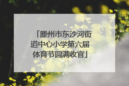 滕州市东沙河街道中心小学第六届体育节圆满收官