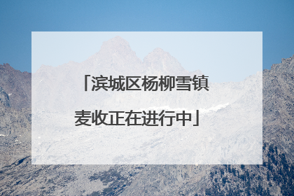 滨城区杨柳雪镇麦收正在进行中