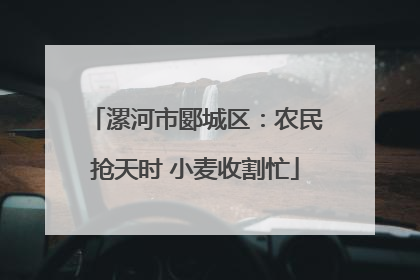 漯河市郾城区：农民抢天时 小麦收割忙
