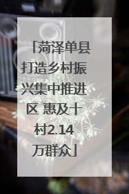 菏泽单县打造乡村振兴集中推进区 惠及十村2.14万群众