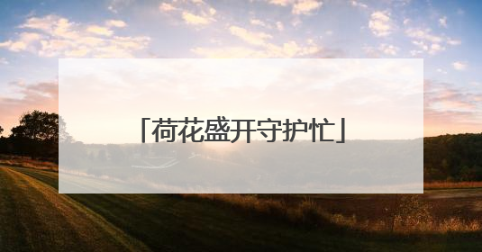 荷花盛开守护忙