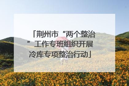 荆州市“两个整治”工作专班组织开展冷库专项整治行动