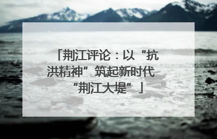 荆江评论：以“抗洪精神”筑起新时代“荆江大堤”