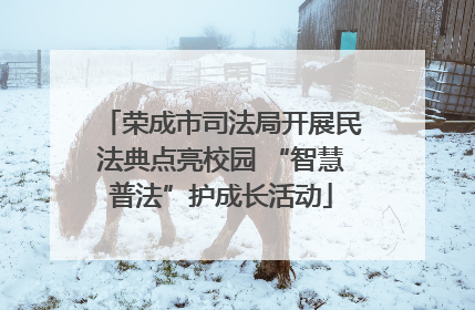 荣成市司法局开展民法典点亮校园 “智慧普法”护成长活动