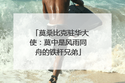 莫桑比克驻华大使：莫中是风雨同舟的铁杆兄弟
